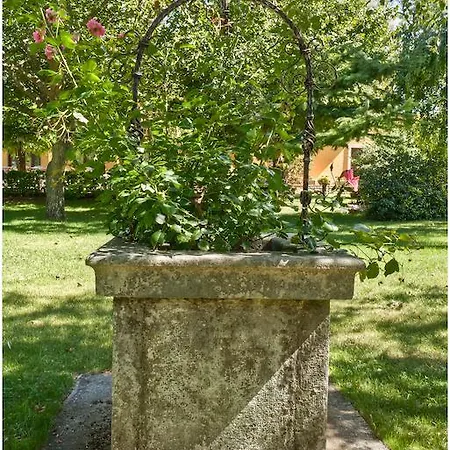 فندق Pesek San Dorligo della Valle